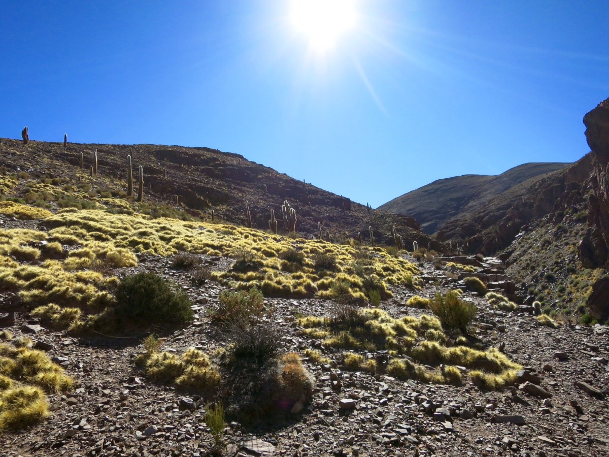 Pourquoi visiter le nord-ouest de l&rsquo;Argentine?