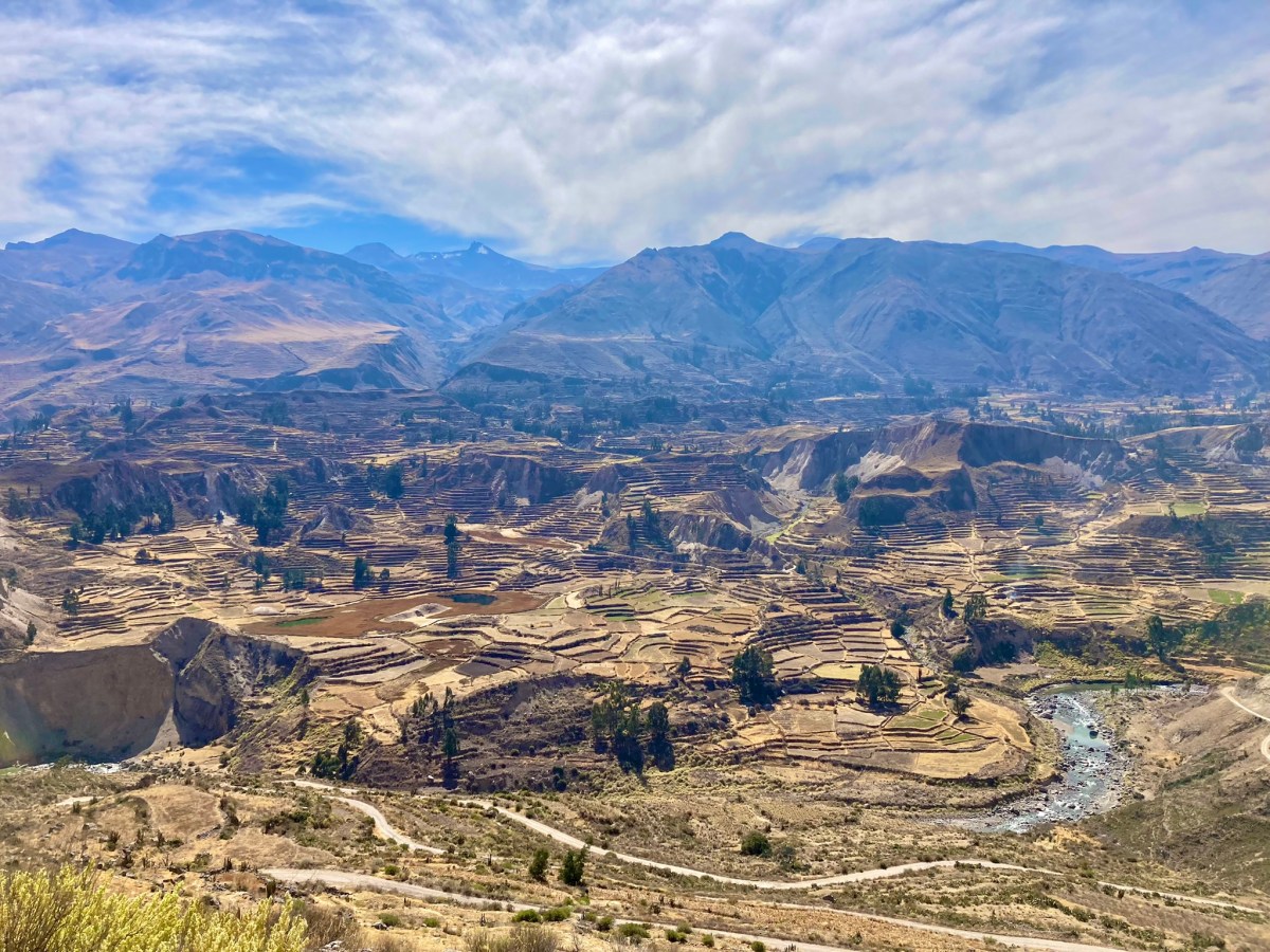 Vallée de la Colca et le vol des&nbsp;condors