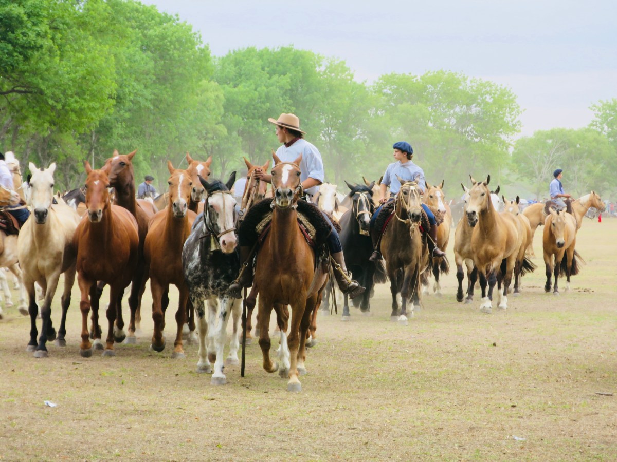 Escapade à San Antonio de Areco, capitale de la culture du&nbsp;gaucho