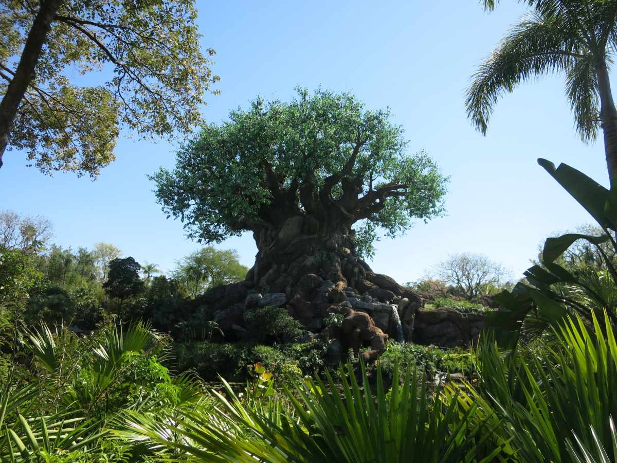 Animal Kindom : une aventure au cœur de la&nbsp;nature